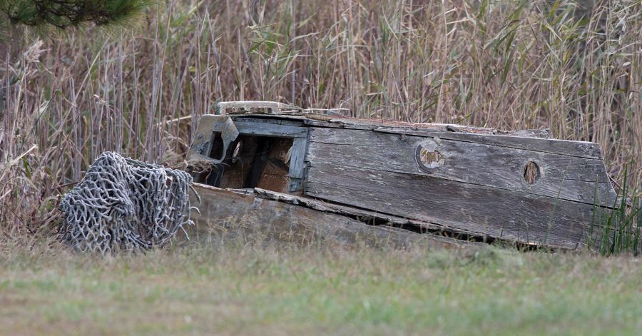 Abandoned Fishing Boat False Cape State Park, VA IMG_7964