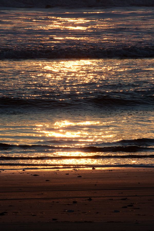 Sunrise False Cape State Park, VA IMG_7616