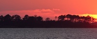 Sunset False Cape State Park, VA. IMG_7574